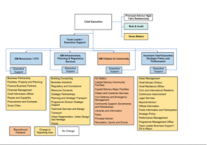 Analysing the new CCC management structure and appointees - The Tuesday ...