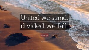 United we stand, divided we fall