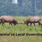 Central vs local government two deer fighting